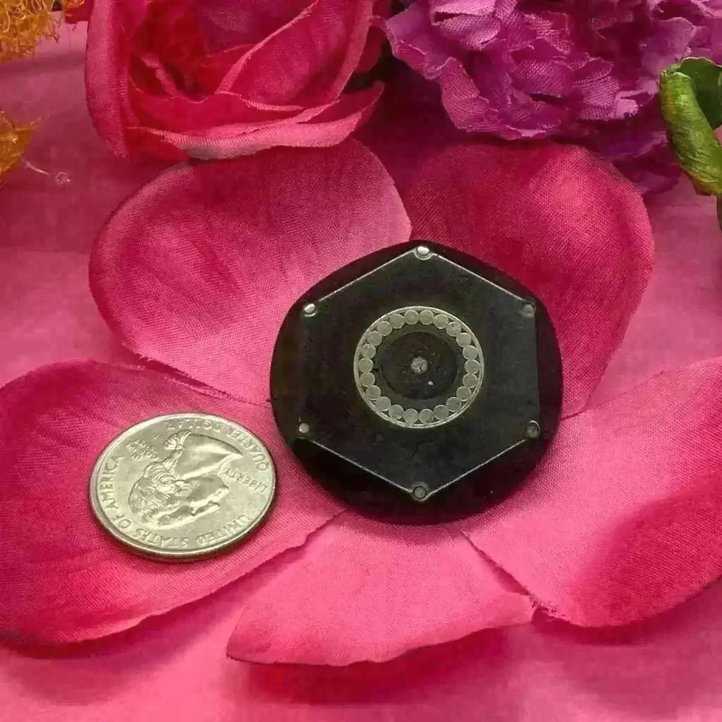 Victorian Whitney jet silver/ brass pin